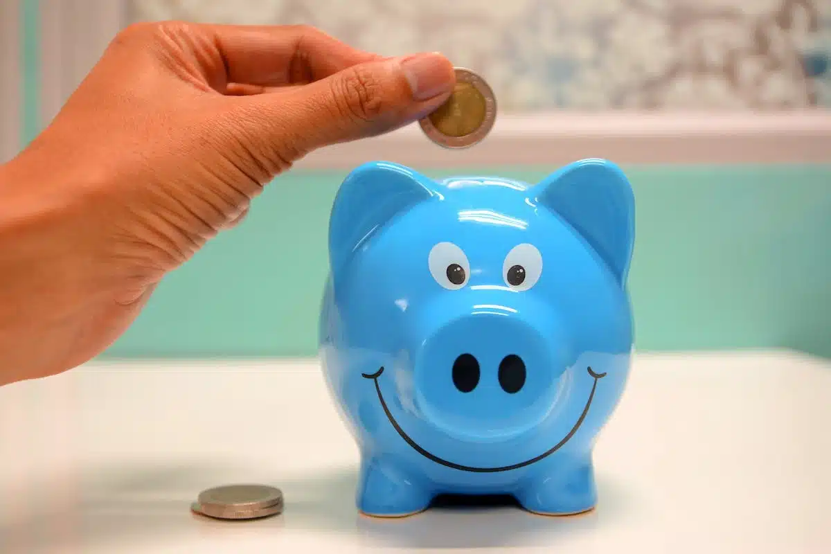investissement  viager