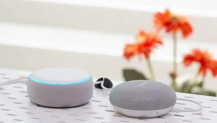 Alexa ou Google Assistant quel assistant vocal choisir