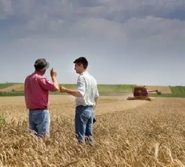 Comment choisir une formation dans le domaine de l’environnement