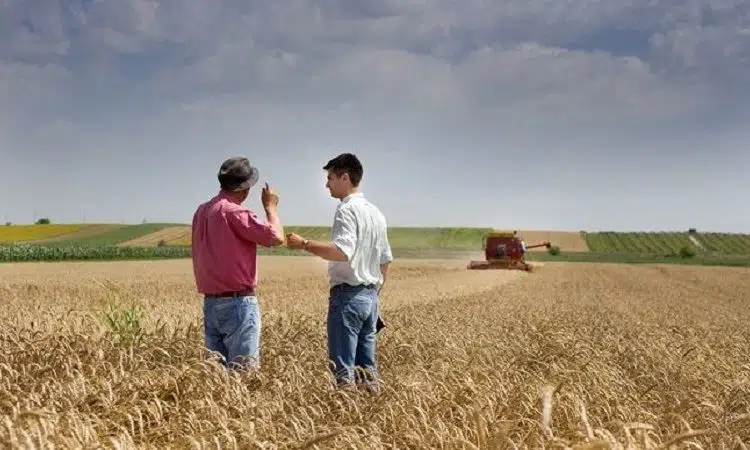 Comment choisir une formation dans le domaine de l’environnement