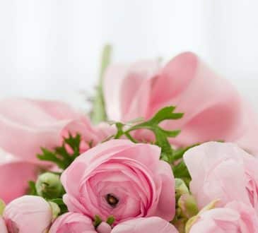 Avec quelles fleurs associer les roses ?
