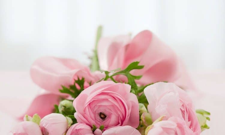 Avec quelles fleurs associer les roses ?