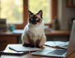 Chat siamois attentif sur un bureau en lumière naturelle